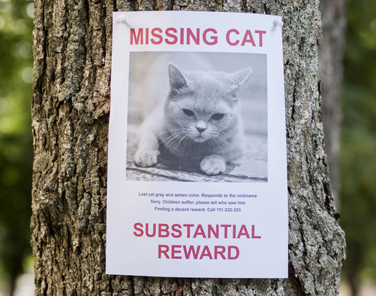 missing